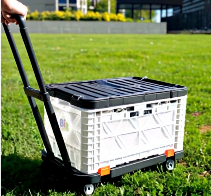 빅엘리 핸드카트 SET