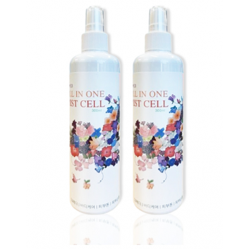 시원 올인원 미스트 2개 묶음